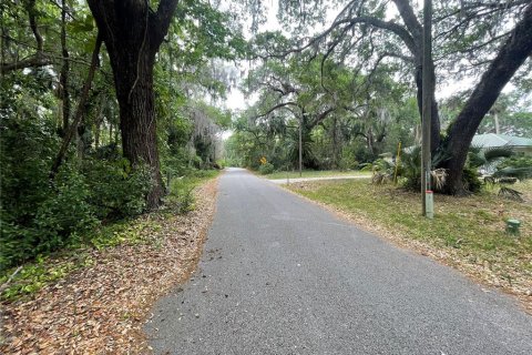 Land in DeBary, Florida № 1620598 - photo 7