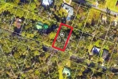Land in DeBary, Florida № 1620598 - photo 11