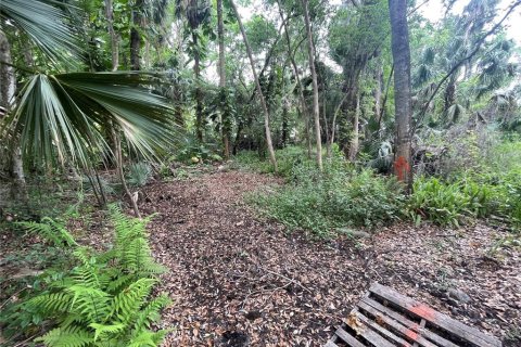 Land in DeBary, Florida № 1620598 - photo 9