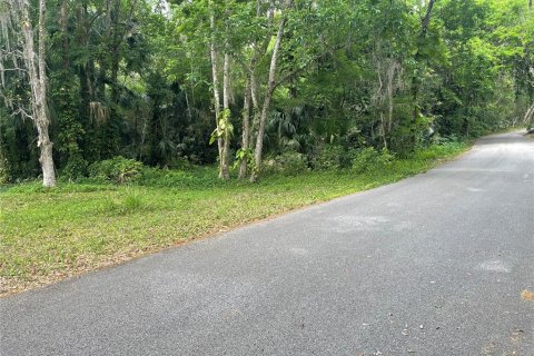 Land in DeBary, Florida № 1620598 - photo 4