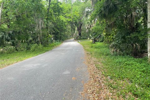 Land in DeBary, Florida № 1620598 - photo 1