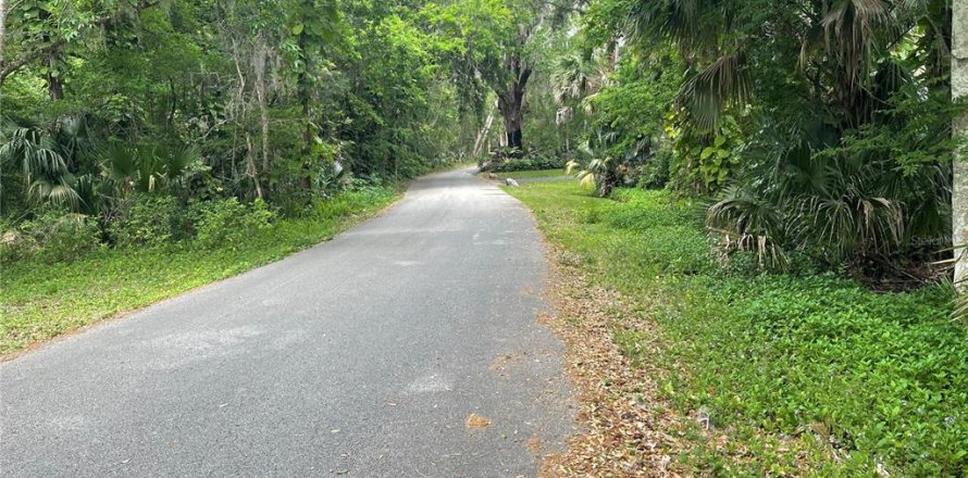 Land in DeBary, Florida № 1620598