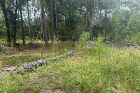Land in Bronson, Florida № 1901077 - photo 4