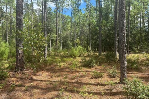 Land in Bronson, Florida № 1901077 - photo 2