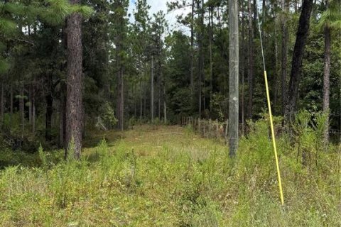 Land in Bronson, Florida № 1901077 - photo 7