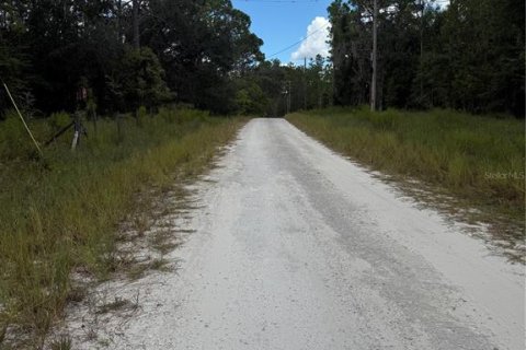Land in Bronson, Florida № 1901077 - photo 9