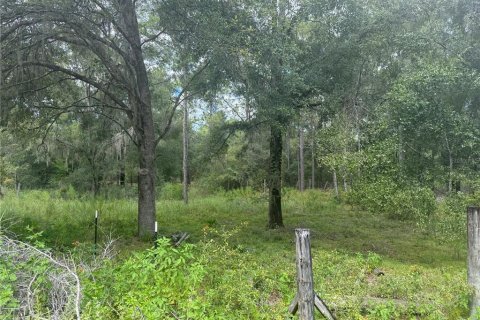 Land in Bronson, Florida № 1901077 - photo 6