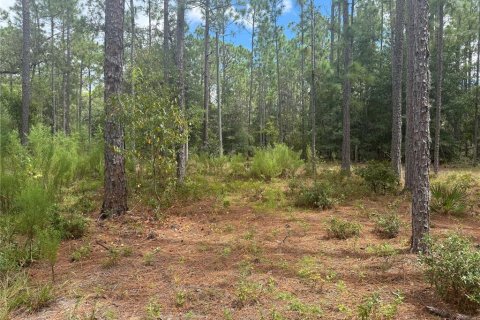 Land in Bronson, Florida № 1901077 - photo 1