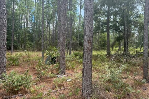 Land in Bronson, Florida № 1901077 - photo 3