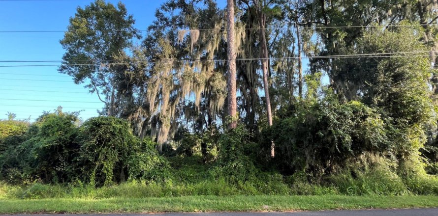 Terrain à DeBary, Floride № 1224943
