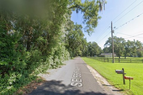 Commercial property in Ocala, Florida № 2147029 - photo 2