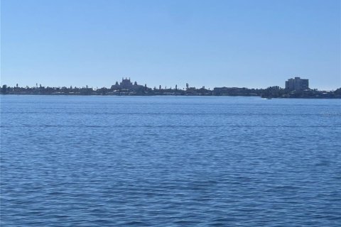 Condo in Gulfport, Florida, 3 bedrooms  № 1528107 - photo 17