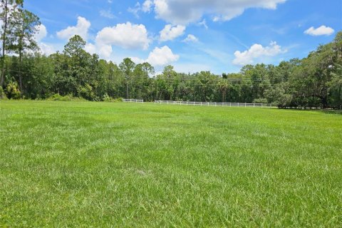 Land in Crescent City, Florida № 1796824 - photo 3