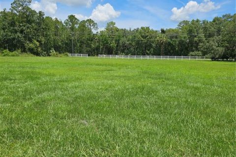 Land in Crescent City, Florida № 1796824 - photo 4