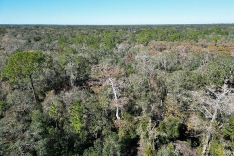 House in Webster, Florida 1 bedroom, 93.65 sq.m. № 1521674 - photo 30