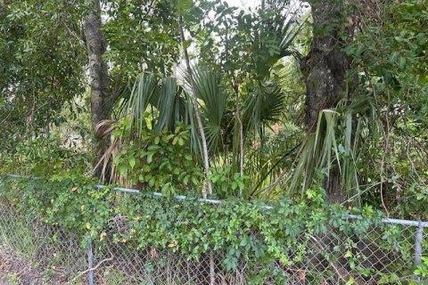 Terreno en venta en Sarasota, Florida № 1827965 - foto 12