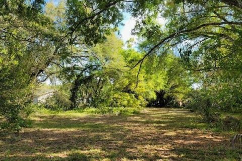 Terreno en venta en Sarasota, Florida № 1827965 - foto 4