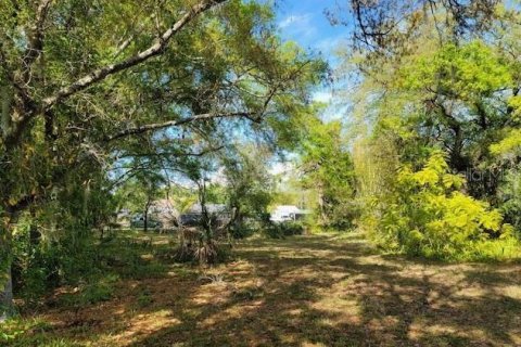 Terreno en venta en Sarasota, Florida № 1827965 - foto 17