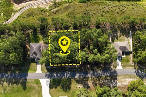 Land in Ocala, Florida № 2162288 - photo 2