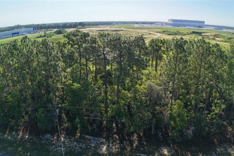 Land in Ocala, Florida № 2162288 - photo 4