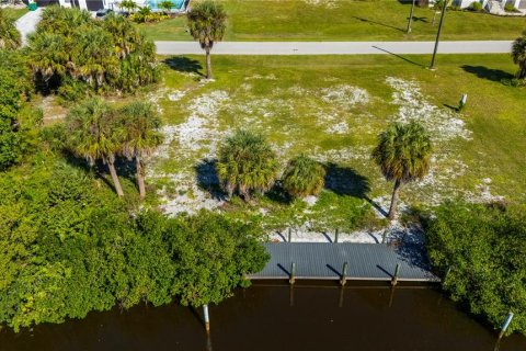 Terrain à vendre à Punta Gorda, Floride № 2425517 - photo 6
