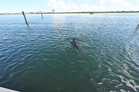 Condo in Clearwater, Florida, 2 bedrooms № 2395855 - photo 23