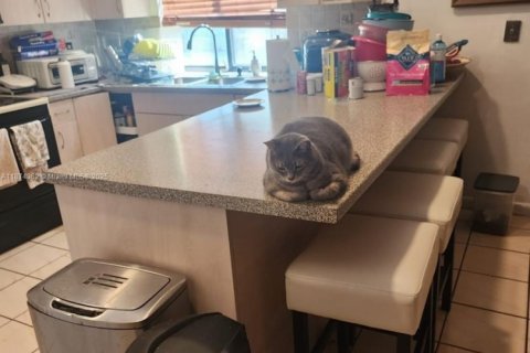 House in Miami, Florida 4 bedrooms, 179.21 sq.m. № 1979022 - photo 5