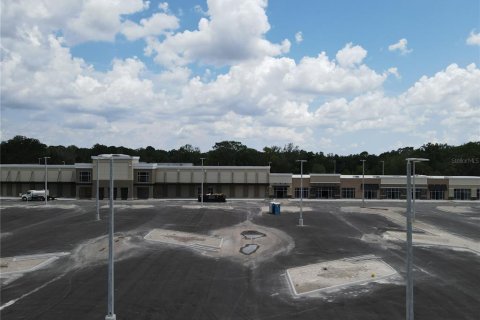 Land in Wesley Chapel, Florida № 218221 - photo 7