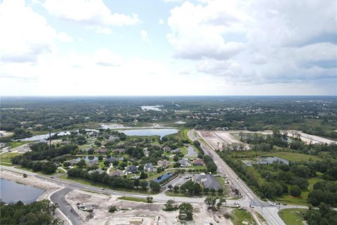 Land in Wesley Chapel, Florida № 218221 - photo 16