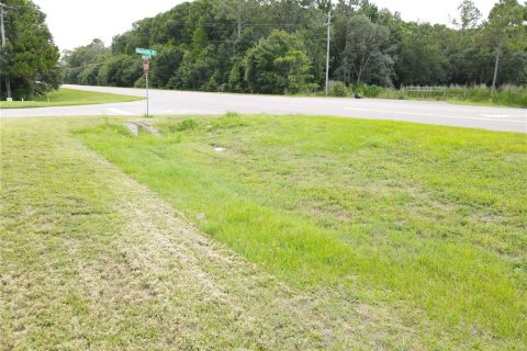 Land in Wesley Chapel, Florida № 218221 - photo 20