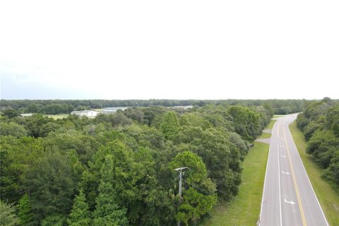 Land in Wesley Chapel, Florida № 218221 - photo 5