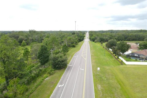 Land in Wesley Chapel, Florida № 218221 - photo 6