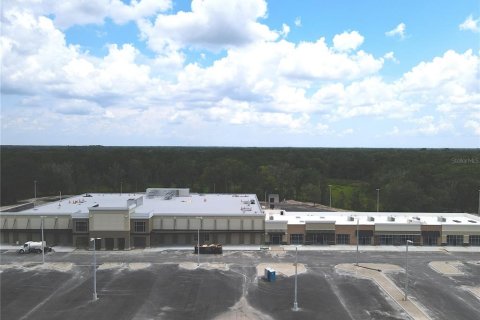 Land in Wesley Chapel, Florida № 218221 - photo 11