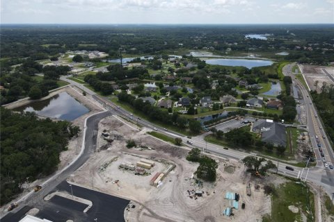 Land in Wesley Chapel, Florida № 218221 - photo 19