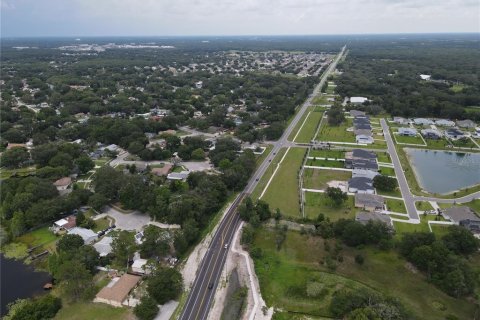 Land in Wesley Chapel, Florida № 218221 - photo 17