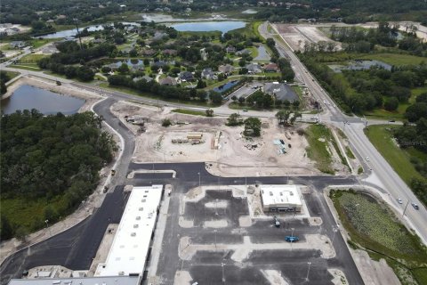 Land in Wesley Chapel, Florida № 218221 - photo 8