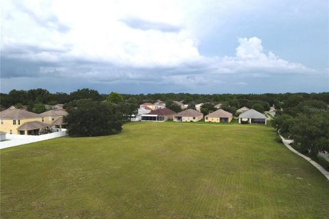Land in Wesley Chapel, Florida № 218221 - photo 3