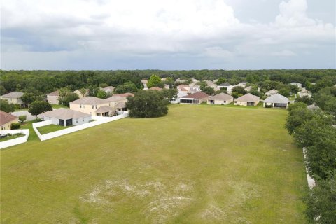Land in Wesley Chapel, Florida № 218221 - photo 4