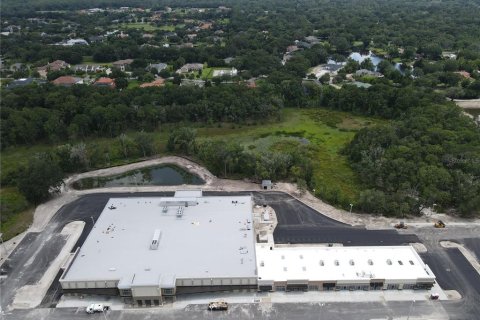 Land in Wesley Chapel, Florida № 218221 - photo 9