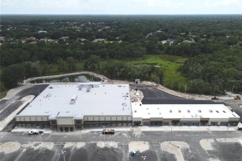 Land in Wesley Chapel, Florida № 218221 - photo 10