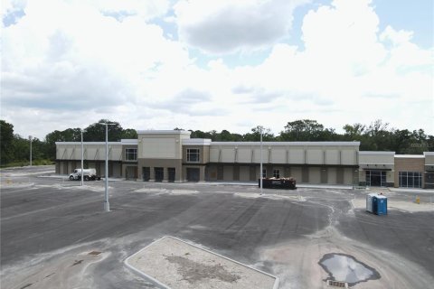 Land in Wesley Chapel, Florida № 218221 - photo 12