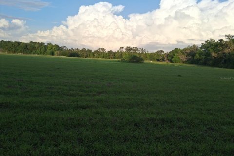 Land in Sumter, Florida № 2165941 - photo 6