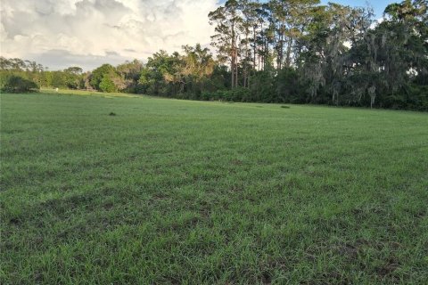Land in Sumter, Florida № 2165941 - photo 2