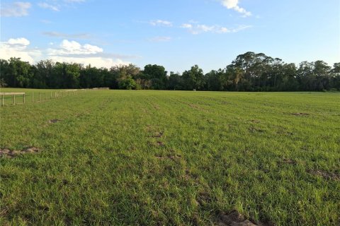 Land in Sumter, Florida № 2165941 - photo 10