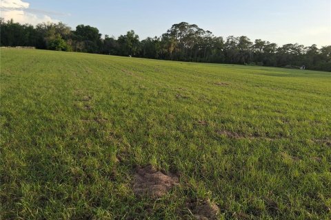 Land in Sumter, Florida № 2165941 - photo 15