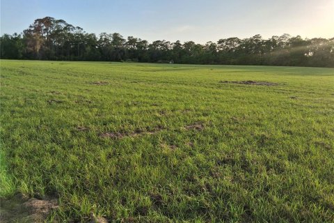 Land in Sumter, Florida № 2165941 - photo 17