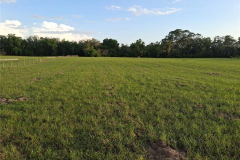 Land in Sumter, Florida № 2165941 - photo 13