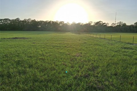 Land in Sumter, Florida № 2165941 - photo 18