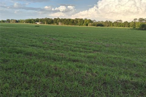 Land in Sumter, Florida № 2165941 - photo 11