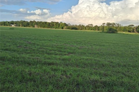 Land in Sumter, Florida № 2165941 - photo 12